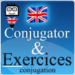 English Conjugation Practice ícone