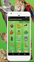 Animals for Kids poster