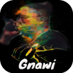 Gnawi_mp3 2020