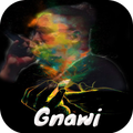 ”Gnawi_mp3 2020