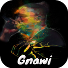 Gnawi_mp3 2020 icône