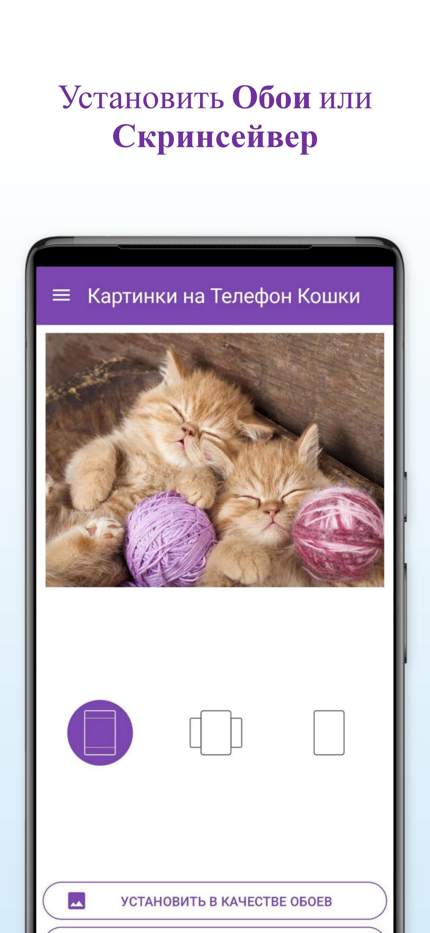 Скачать Картинки на Телефон Кошки APK для Android