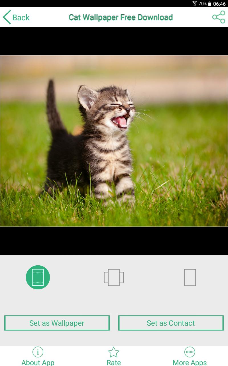 Android 用の 猫 壁紙 無料 スマホ Apk をダウンロード