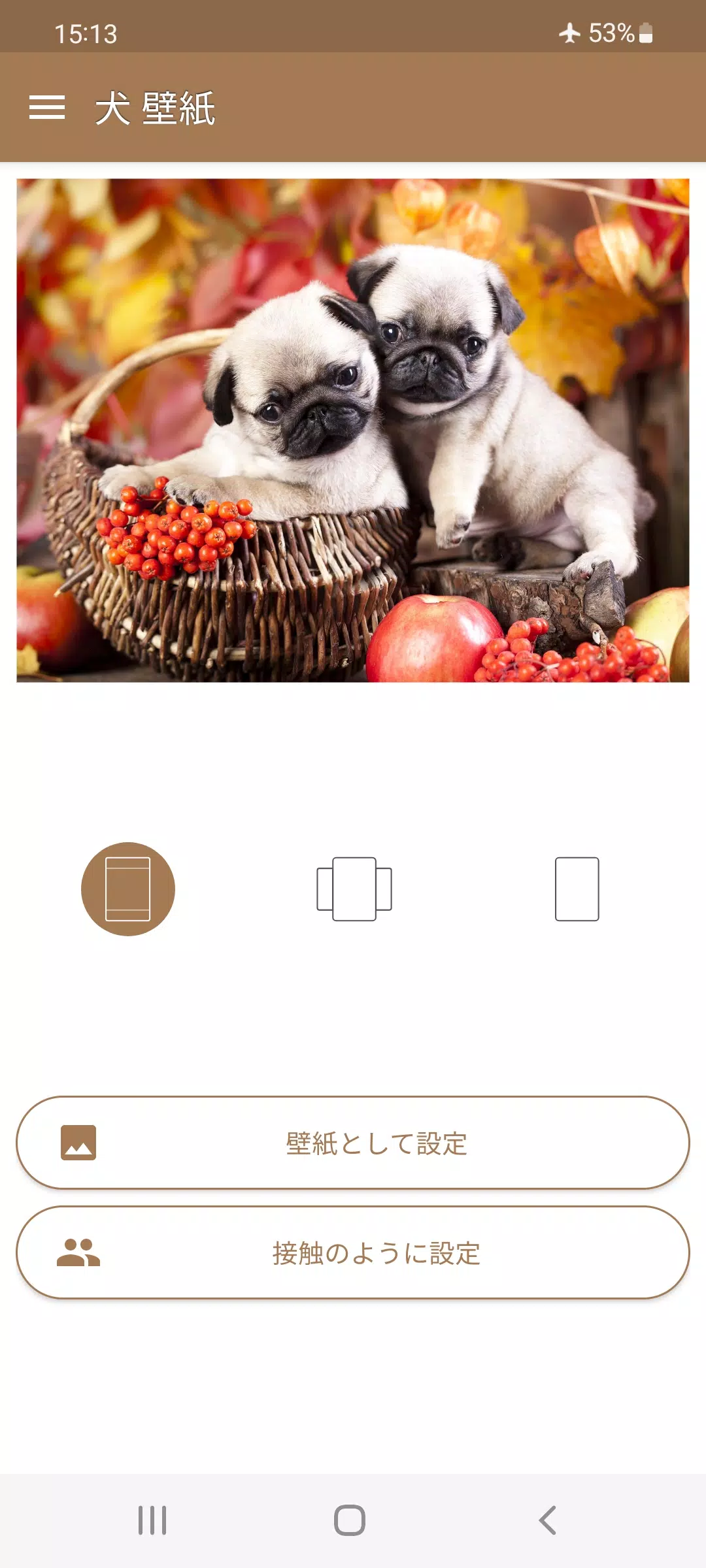 Android向けの犬 壁紙 Apkをダウンロードしましょう