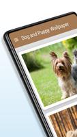 Dog and Puppy Wallpaper পোস্টার