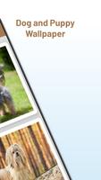 Dog and Puppy Wallpaper স্ক্রিনশট 1