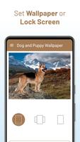 Dog and Puppy Wallpaper স্ক্রিনশট 3