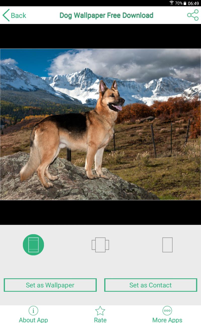 Android 用の 犬 壁紙 無料 スマホ Apk をダウンロード
