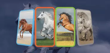 Horse Wallpaper HD