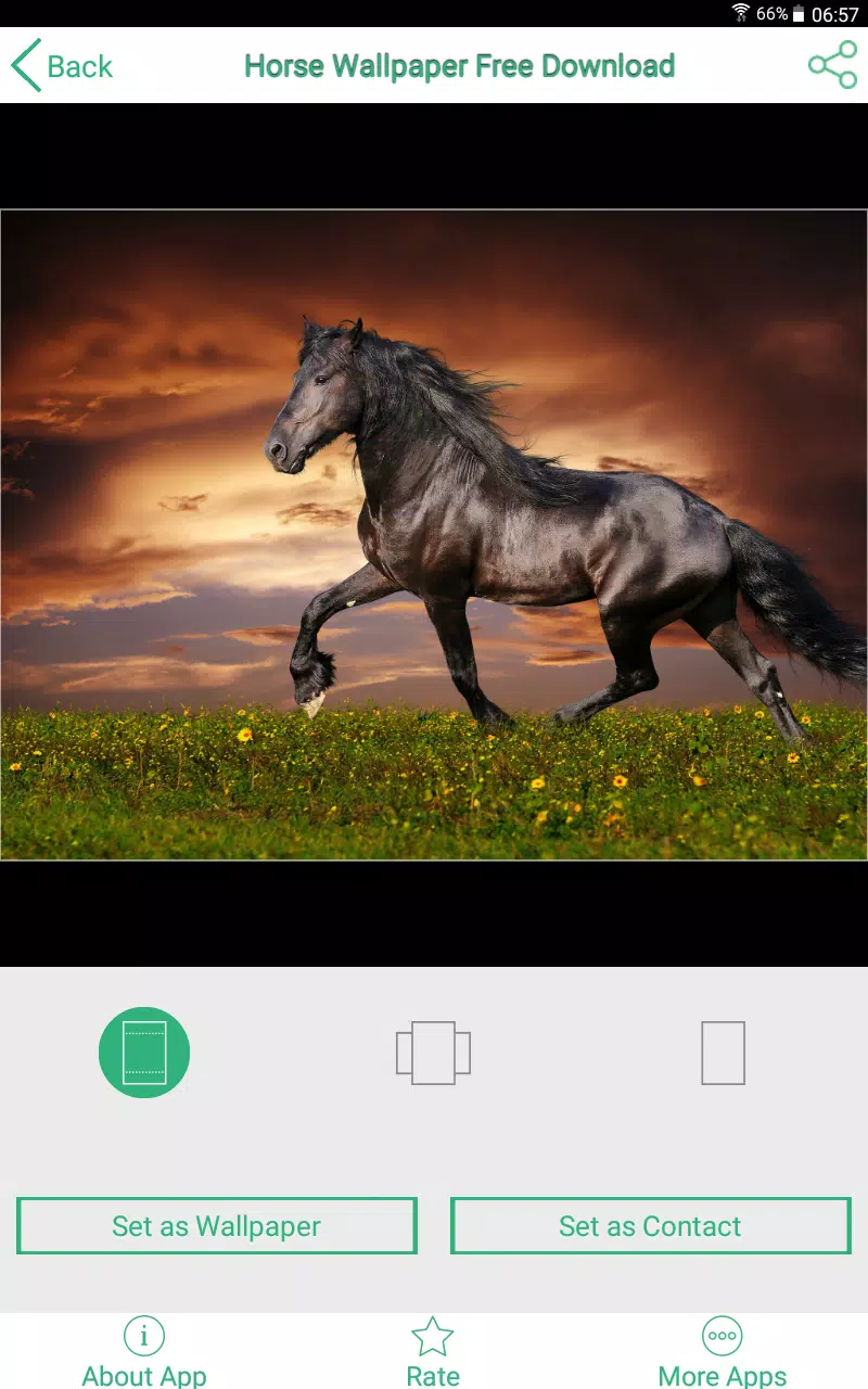 Android 用の 馬 壁紙 Apk をダウンロード