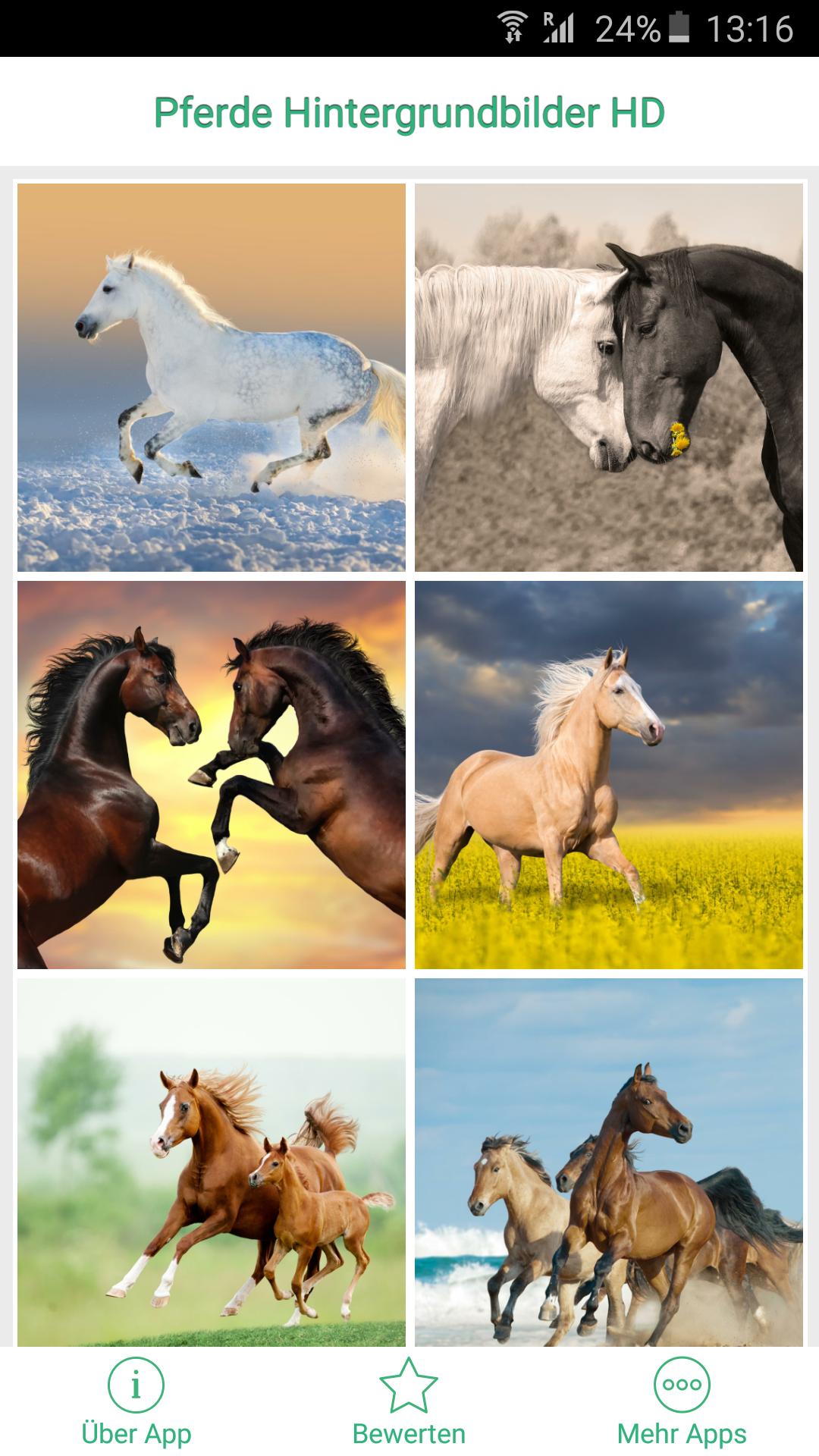 Pferde Hintergrundbilder Hd Fur Android Apk Herunterladen