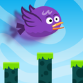 Bird Flight