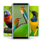 HD Best Birds Wallpaper 4K - Mobile Themes アイコン