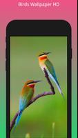 HD Best Birds Wallpaper 4K - Mobile Themes ポスター