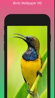 HD Best Birds Wallpaper 4K - Mobile Themes স্ক্রিনশট 1