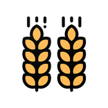 السنابل للخضار والفواكه