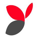 Best Dream Store Cosméticos icon