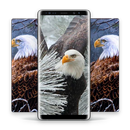 HD Eagle Wallpapers - Best Mobile Background APK