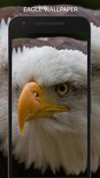 HD Eagle Wallpapers - Best Mobile Background capture d'écran 3