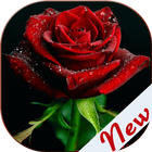 Flowers and Roses Images Gifs icono