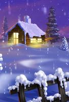 Winter Snow Night Wallpapers capture d'écran 1