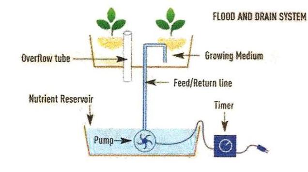 Best Hydroponic System For Android Apk Download