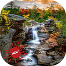 Nature Wallpapers - Backgrounds APK