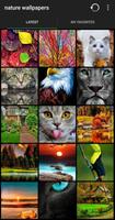 Nature Wallpapers plakat