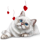 Cats stickers for Chat - WAStickerApps APK