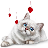 Cats stickers for Chat - WAStickerApps