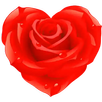 Bouquet de Fleurs vase APK
