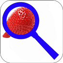 Best magnifier with light APK