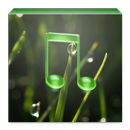 The relaxing sounds of nature APK