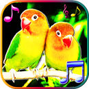 Birds Sounds & Live Wallpapers APK