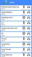 Popular Ringtones 500 captura de pantalla 2