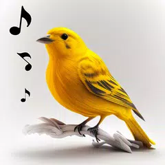 鳥の歌 着信音 アプリダウンロード