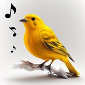 آیکون‌ Bird Calls, Sounds & Ringtones