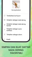 Suara Panggilan Burung screenshot 3