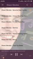 برنامه‌نما Shawn Mendes Best Songs Ringtones 2019 - Senorita عکس از صفحه