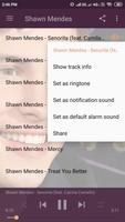 Shawn Mendes Best Songs Ringtones 2019 - Senorita screenshot 2