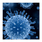 Diseases Wiki আইকন