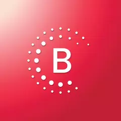 Bernafon App XAPK download