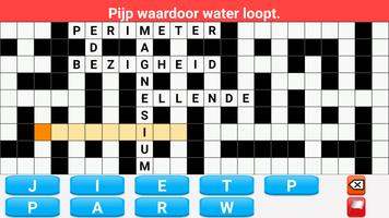 Kruiswoordpuzzels Nederlands Ekran Görüntüsü 3