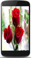 rose et la fleur fond décran capture d'écran 3