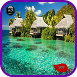 풍경 배경 화면