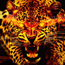 Tigre et Lion Fonds d'écran APK