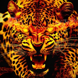 Fondos de tigre icono