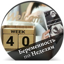 Беременность по Неделям - русс APK