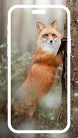1 Schermata Fox Wallpapers 4k