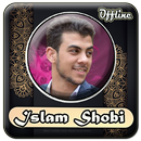 Islam Sobhi Quran Mp3 Offline APK